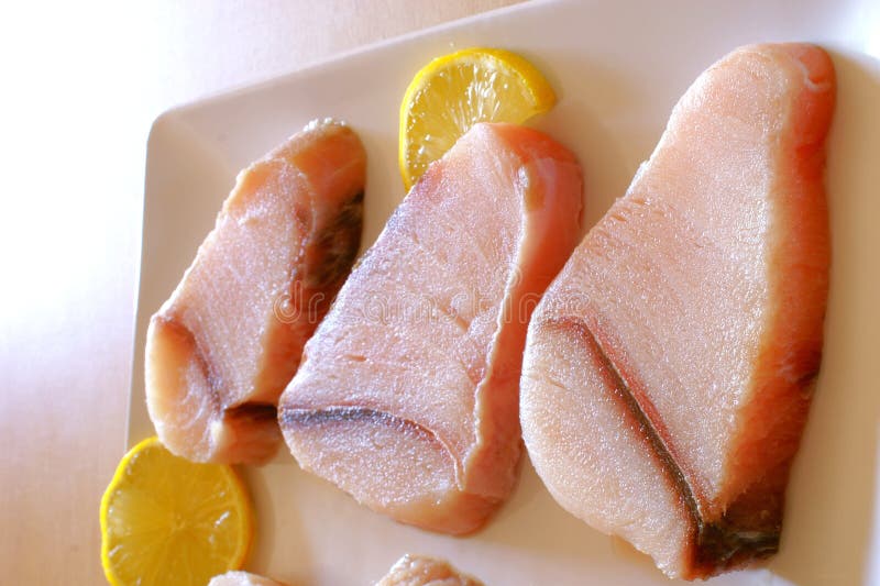 Raw shark meat stock image. Image of food, healthy, nutrition 5598257