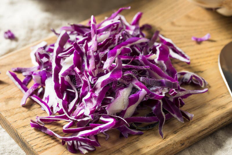 Raw Shredded Purple Cabbage Stock Image Image Of Nature Chopped raw-shredded-purple-cabbage-stock-image-image-of-nature-chopped