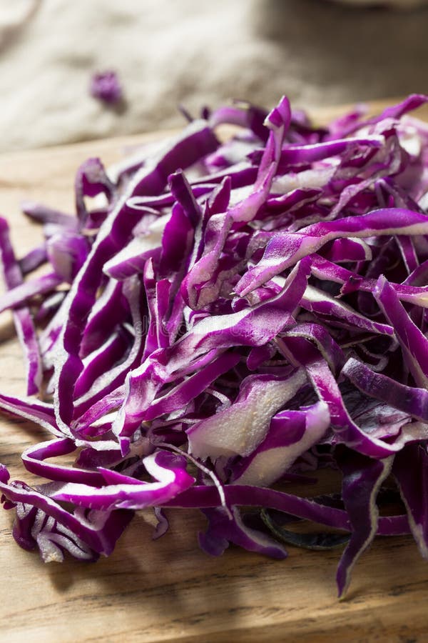 Raw Shredded Purple Cabbage Stock Image Image Of Leaf Vegan 145949345 raw-shredded-purple-cabbage-stock-image-image-of-leaf-vegan-145949345