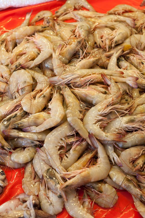 Raw Shrimp stock photo. Image of freshness, fresh, closeup 34939402