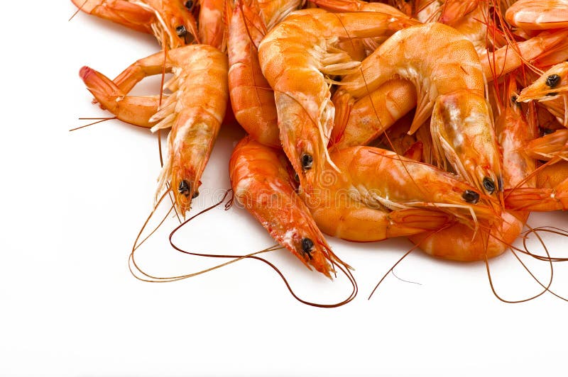 Raw shrimp stock photo. Image of cooked, gourmet, isolated 107466850
