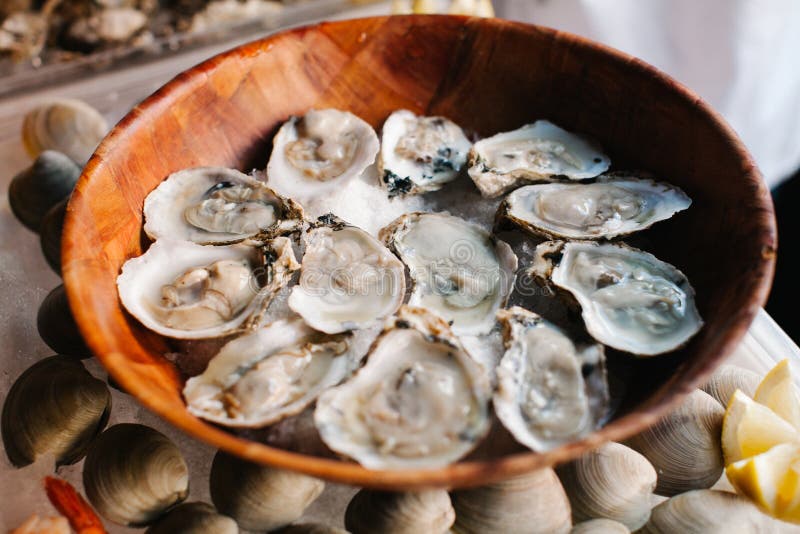 A Dozen of Raw Oysters on a Wooden Plate Stock Image Image of dinner