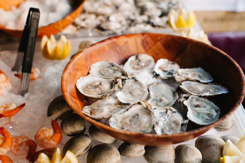 A Dozen of Raw Oysters on a Wooden Plate Stock Image Image of dinner