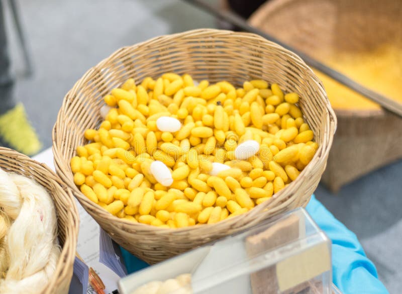 Raw silk thread royalty free stock photography