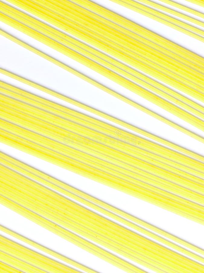 Raw spaghetti noodles stock image. Image of carbohydrate 18936845