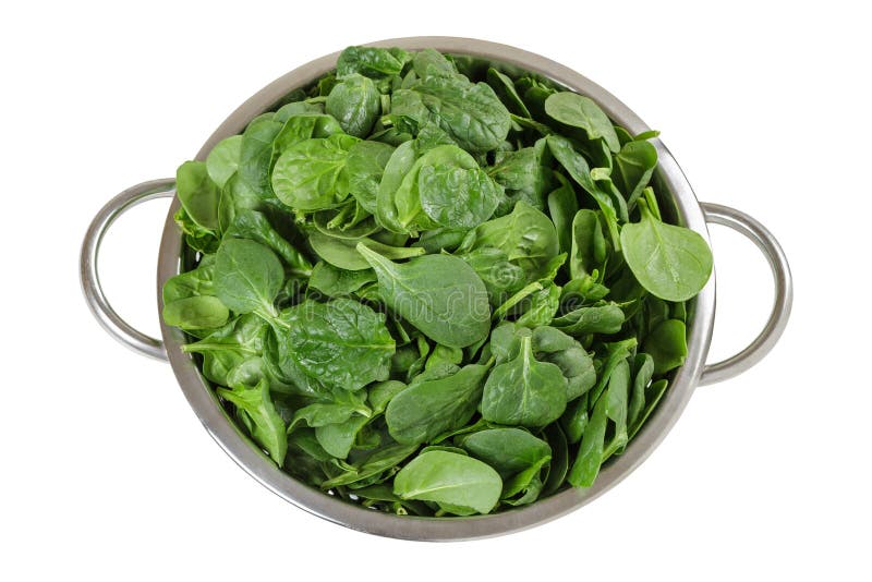 Raw Spinach stock image. Image of closeup, green, iron 37262689