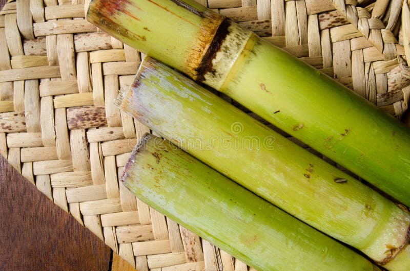 Raw sugar cane stock photo. Image of fields, sweet, sweetener 12528860