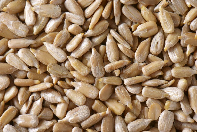 Raw sunflower seed stock image. Image of hulled, edible 57128231