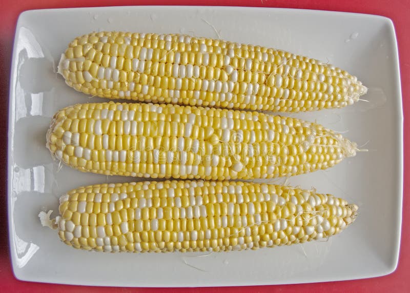 Raw sweet corns stock image. Image of corn, healthy, fresh 58236183