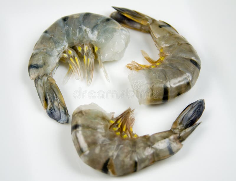 Raw Tiger Shrimp stock photo. Image of calories, natural 13841420