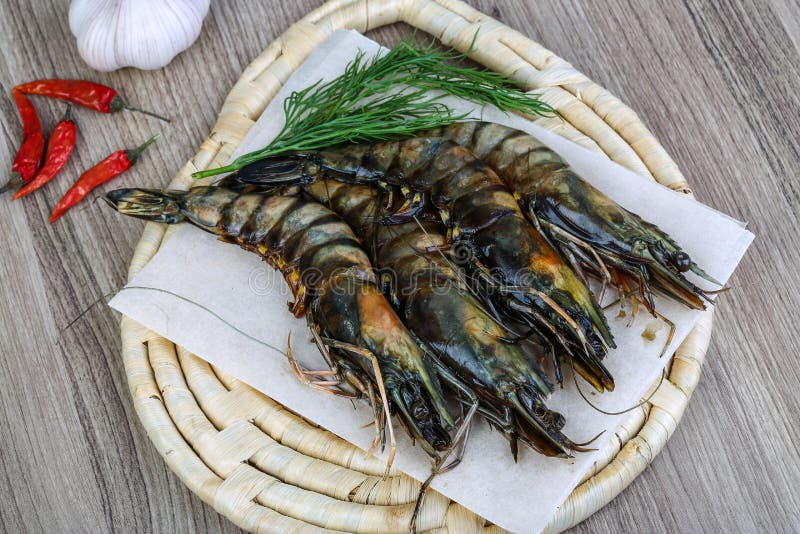Raw tiger shrimps stock photo. Image of gourmet, meal 61476274