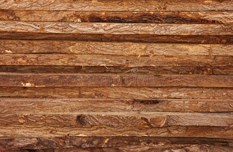 Raw Timber Wood Logs Texture