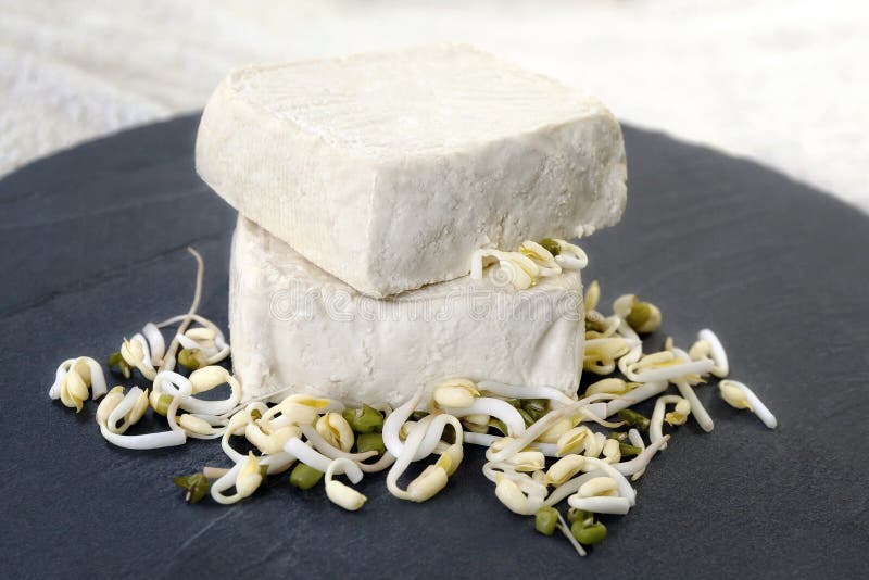 Raw Tofu and Bean Sprouts from Which we Get the Tofu. Stock Image