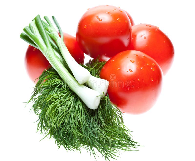 Raw Tomatoes, Dill and Green Spring Onion Stock Photo Image of