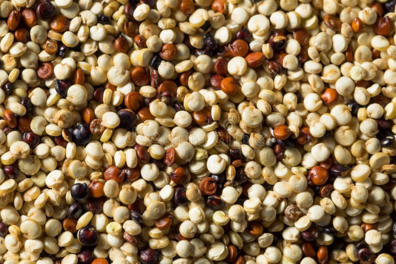 Raw Tricolor Organic Quinoa Kernals