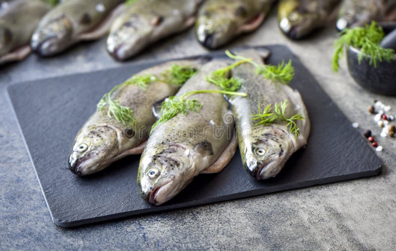 Raw Trout with Herbs on a Board Stock Image Image of preparation, fresh 95849823