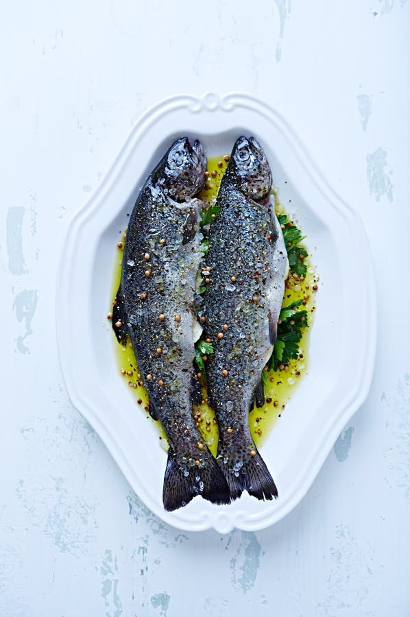 Raw Trout in Marinade; Ready To Be Cooked Stock Image Image of food