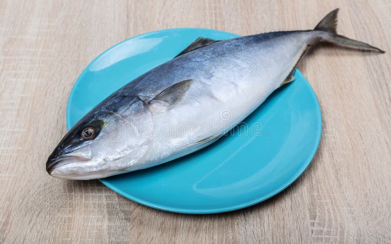Tuna fish scales closeup stock image. Image of real 133784515