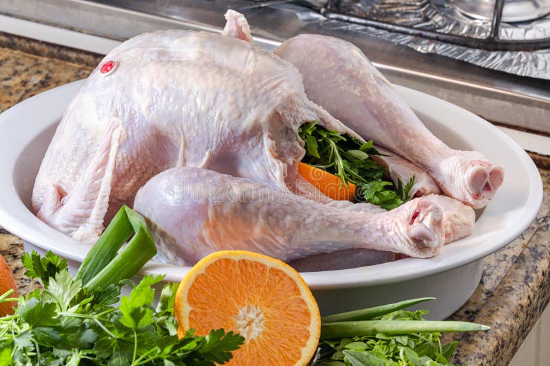 A Raw Turkey Being Prepared For Thanksgiving Or A ...