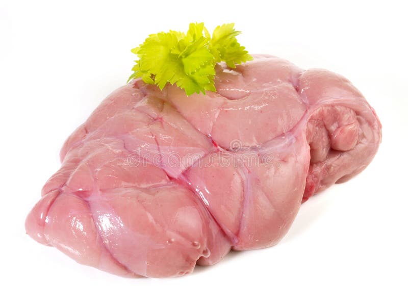 Fine Meat - Raw Veal Sweetbread on white Background