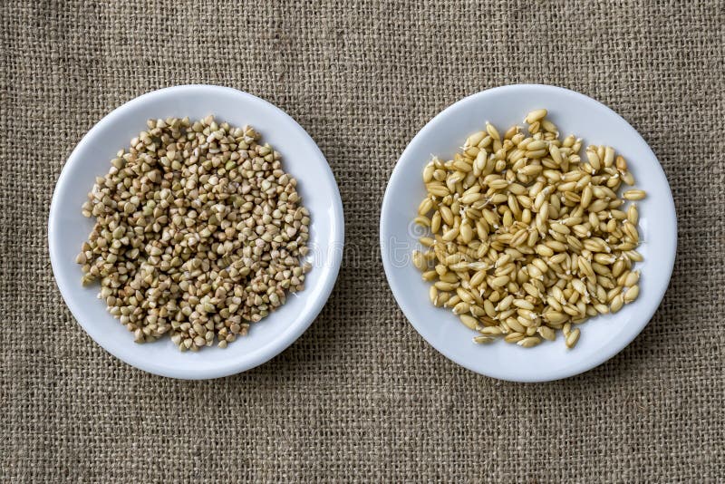 Raw Wheat Germ and Buckwheat Seeds on Two Plates Stock Photo - Image of ...