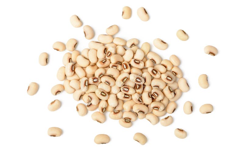 Raw White Cow Pea Beans on White Stock Image Image of nutrition
