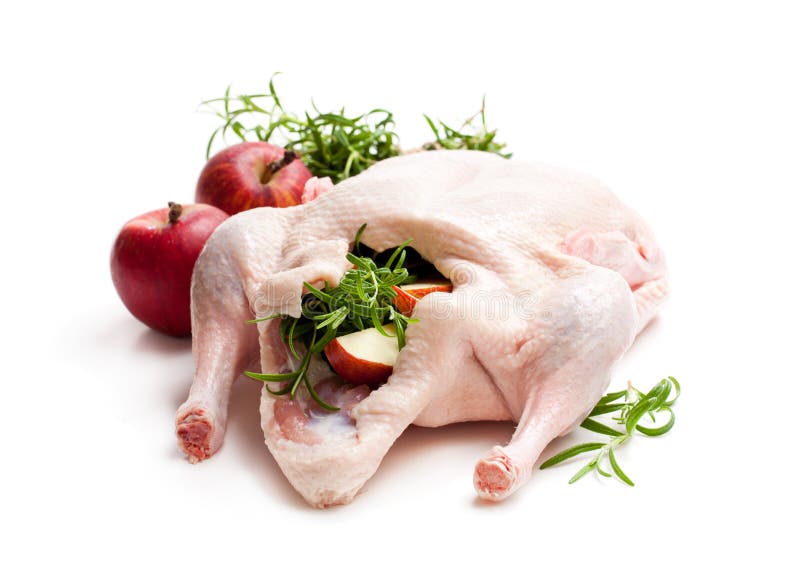 https://thumbs.dreamstime.com/b/raw-whole-duck-stuffed-apple-rosemary-isolated-whit-raw-whole-duck-stuffed-apple-rosemary-isolated-white-124504067.jpg