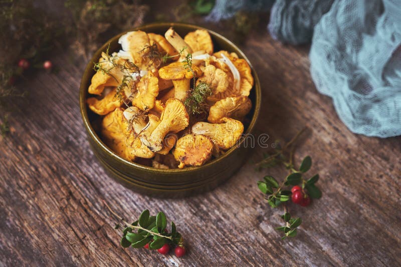 Raw wild mushrooms chanterelles in bowl on old wooden background stock photography Raw wild mushrooms chanterelles in bowl on old wooden background stock photography