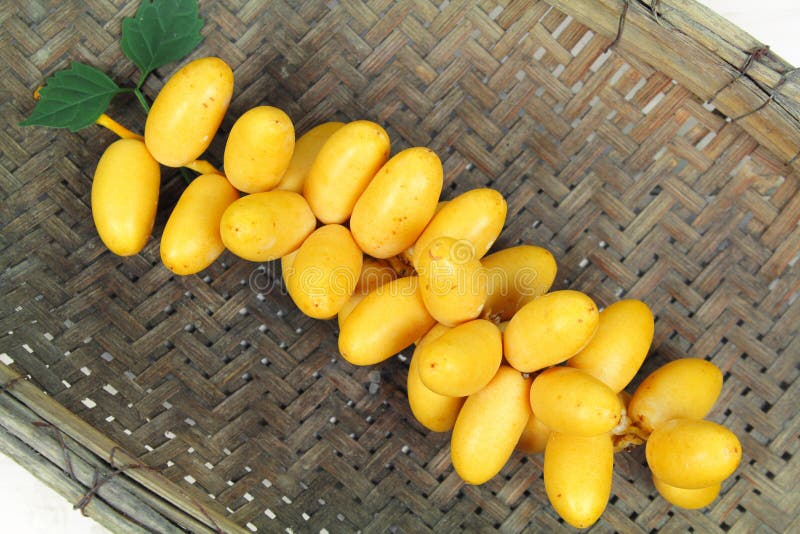 Raw Yellow Date Palm or Dates Stock Photo Image of egypt, orange