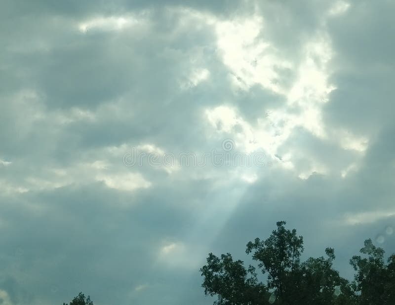 Ray of Sunshine stock photo. Image of trees, sunshine 149846872