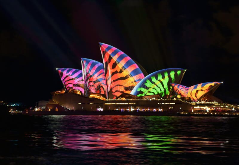 Rayas de Sydney Opera House Animal fotografía de archivo Rayas de Sydney Opera House Animal fotografía de archivo