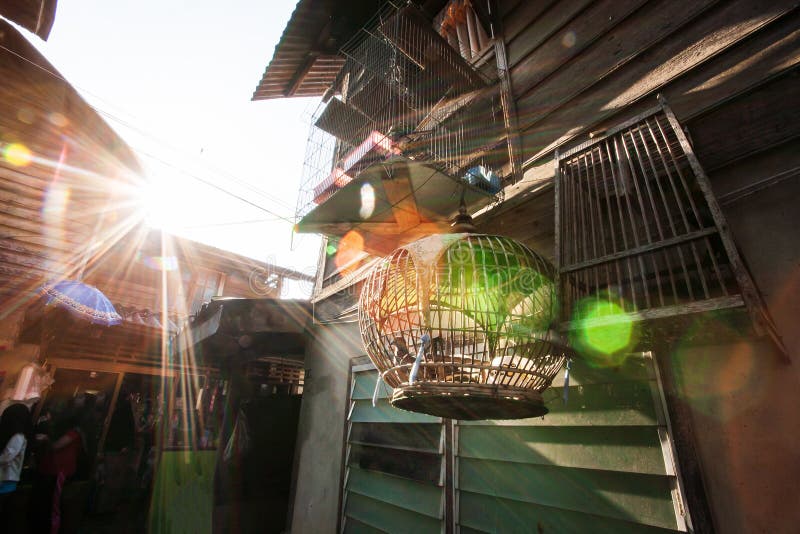 Rayons de soleil brillant par une maison et une cage à oiseaux en bois au coucher du soleil, fusée fantastique de lentille Style photos stock Rayons de soleil brillant par une maison et une cage à oiseaux en bois au coucher du soleil, fusée fantastique de lentille Style photos stock