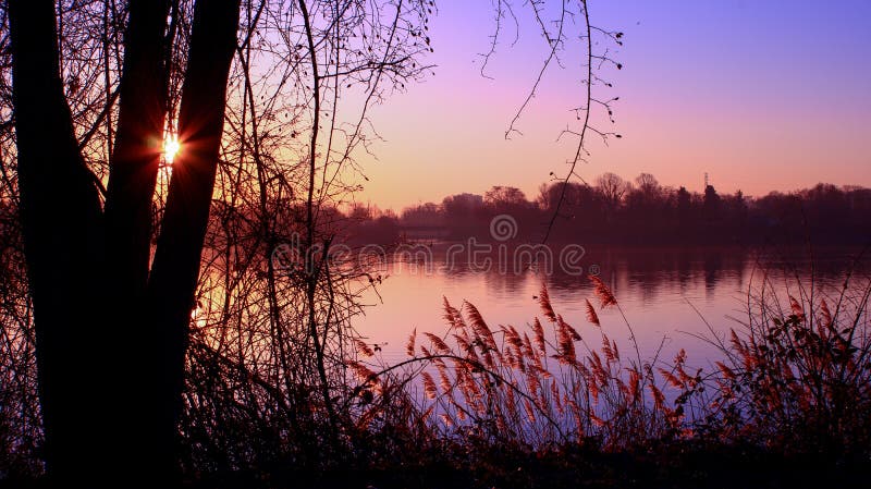 Rayons de soleil par des branches pendant le matin au bord de l'eau dans la campagne avec un ciel rose en pastel photographie stock Rayons de soleil par des branches pendant le matin au bord de l'eau dans la campagne avec un ciel rose en pastel photographie stock