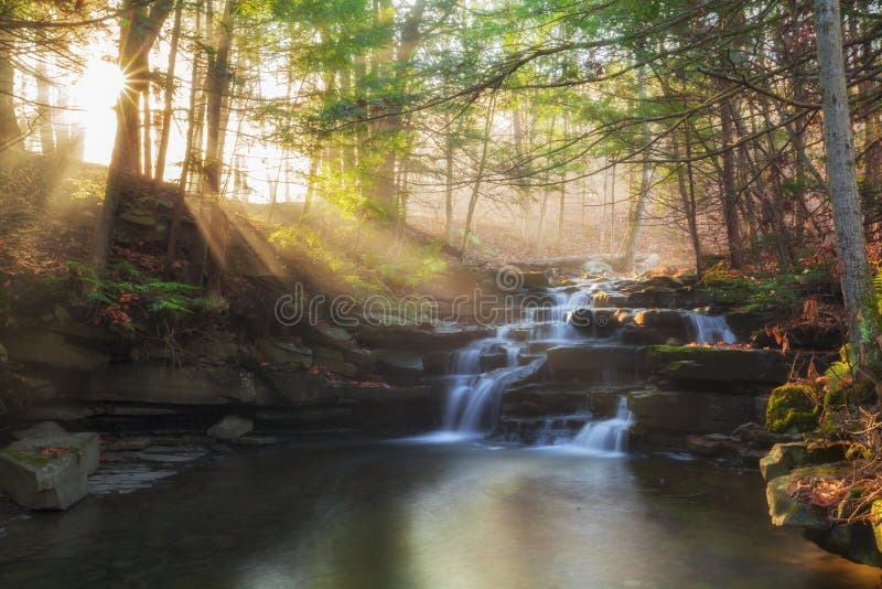 Rayos de Sun en Wolf Creek Falls imagen de archivo Rayos de Sun en Wolf Creek Falls imagen de archivo