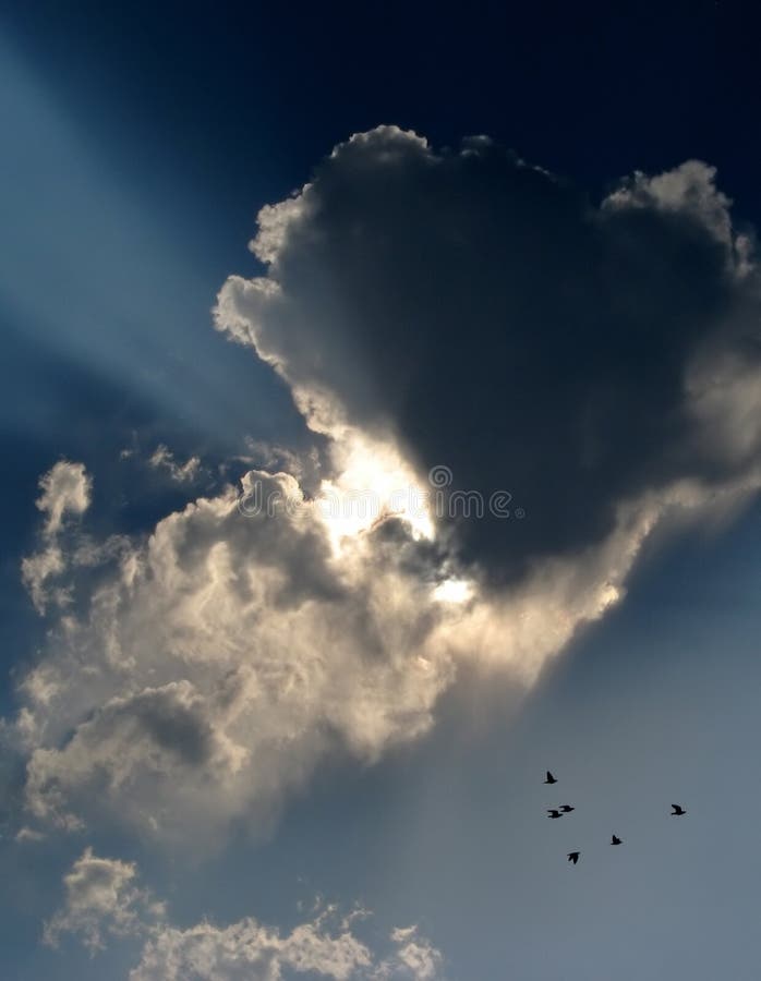 Sun rays behind a cloud with flying birds. Sun rays behind a cloud with flying birds.