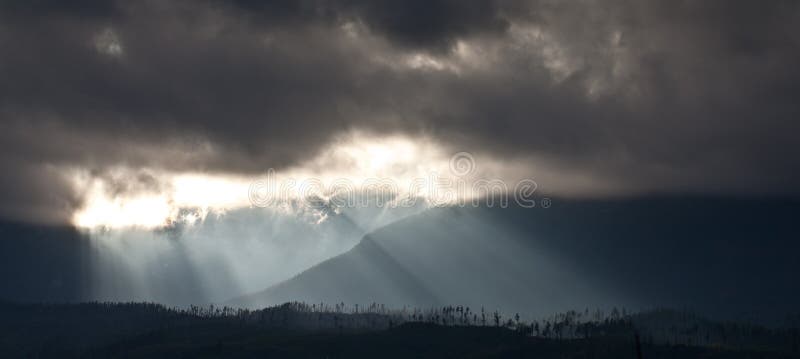 Rays of the sun