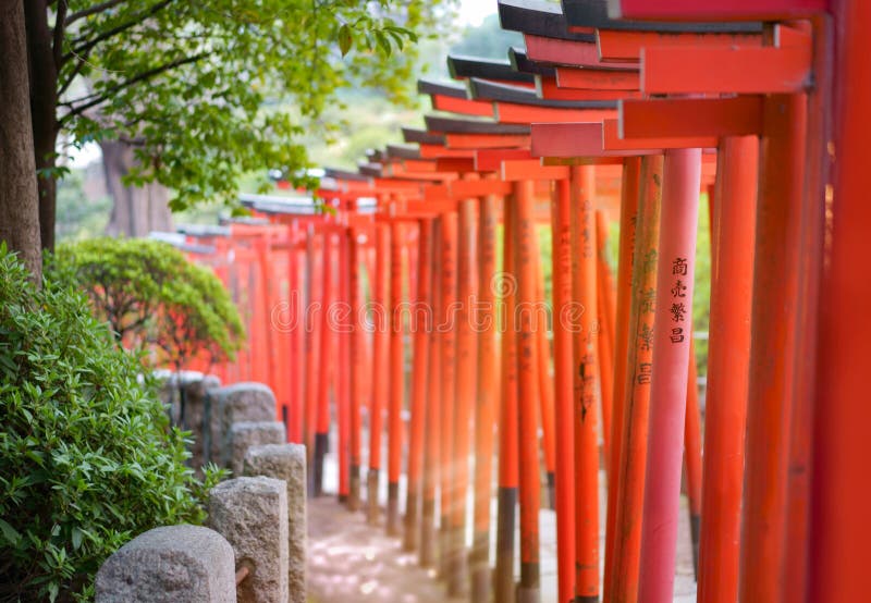 Rays of sun passing between the pillars of a tunnel made with multiple Japanese vermilion Torii gates in Japan. Rays of sun passing between the pillars of a tunnel made with multiple Japanese vermilion Torii gates in Japan.