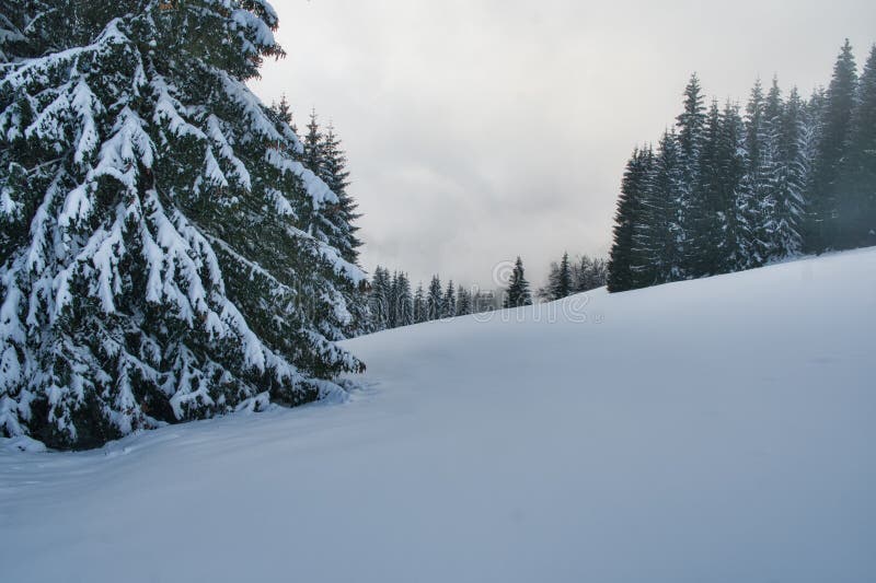 Raztocke sedlo saddle under Salatin peak in Low Tatras mountains during winter