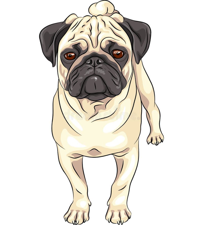 Raça bonito do pug do cão do esboço do vetor ilustração royalty free Raça bonito do pug do cão do esboço do vetor ilustração royalty free