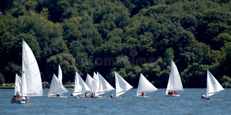 Regata de Pequenos Barcos à Vela imagens de stock royalty free