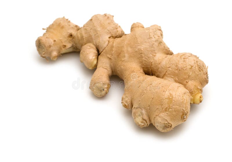 Raíz de jengibre imagen de archivo