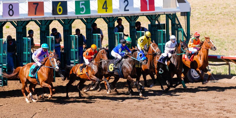 226 Horse Race Starting Gate Photos Free Royalty Free Stock Photos From Dreamstime
