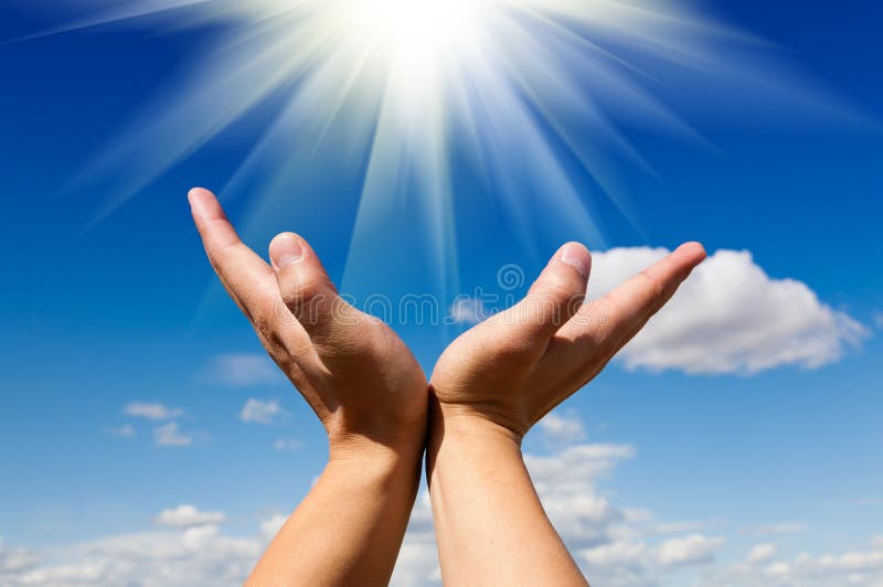 Reach for the sun stock photography Reach for the sun stock photography