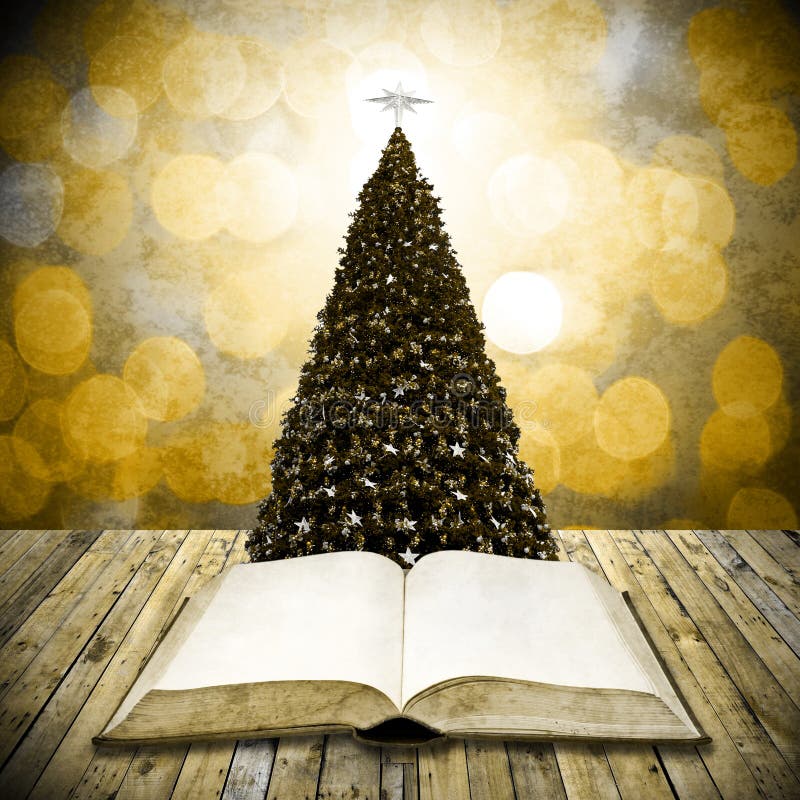 Read Bible in Christmas Day Stock Photo Image of celebration, nice