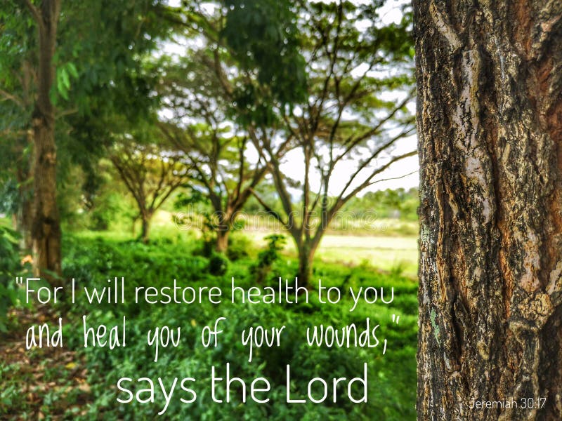 I will restore you to health and heal your wounds with nature background and design for Christianity.