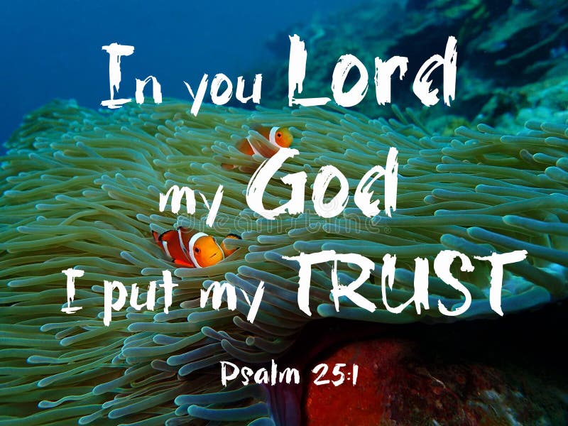 167 Gods Grace Stock Photos - Free & Royalty-Free Stock Photos from Dreamstime 167 Gods Grace Stock Photos - Free & Royalty-Free Stock Photos from Dreamstime