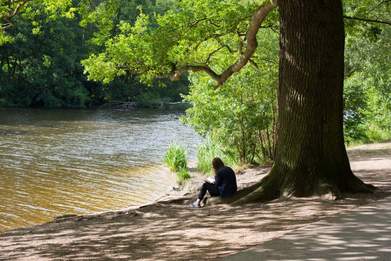 Reading by the Lake stock image. Image of tree, lake 42832933