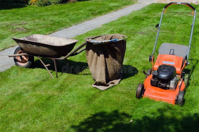 Mower and Wheelbarrow To Throw the Grass Stock Photo Image of male
