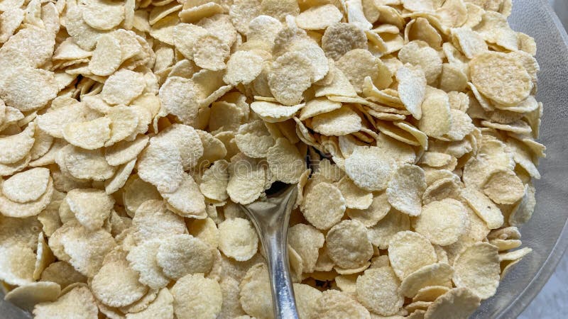 Corn Flakes a Breakfast Cereal Consisting Of Toasted Flakes Made From corn-flakes-a-breakfast-cereal-consisting-of-toasted-flakes-made-from