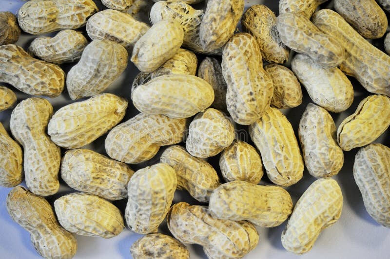 Ready To Eat Roasted Groundnuts Stock Image Image of groundnut, snack